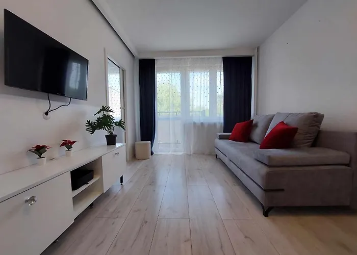 Albatros Apartment Stogi